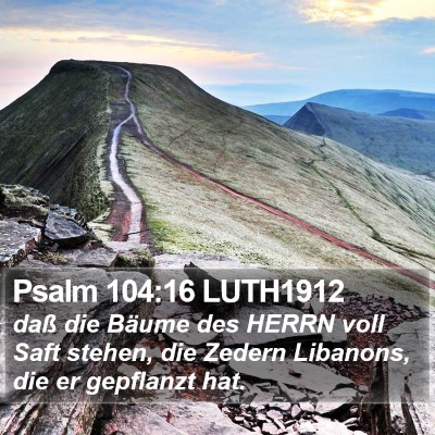 Psalm 104:16 LUTH1912 Bible Verse Image
