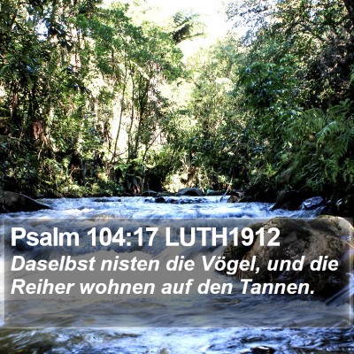 Psalm 104:17 LUTH1912 Bible Verse Image