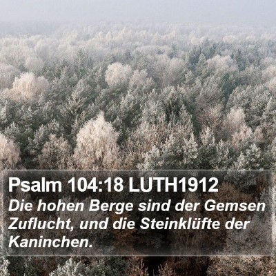 Psalm 104:18 LUTH1912 Bible Verse Image