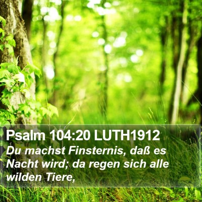 Psalm 104:20 LUTH1912 Bible Verse Image