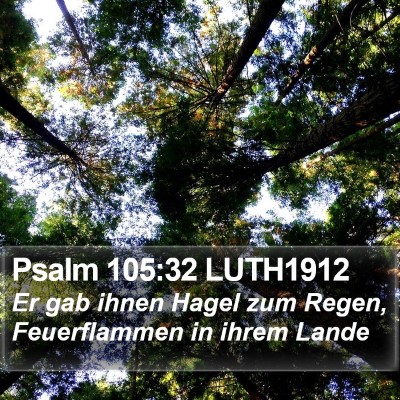 Psalm 105:32 LUTH1912 Bible Verse Image