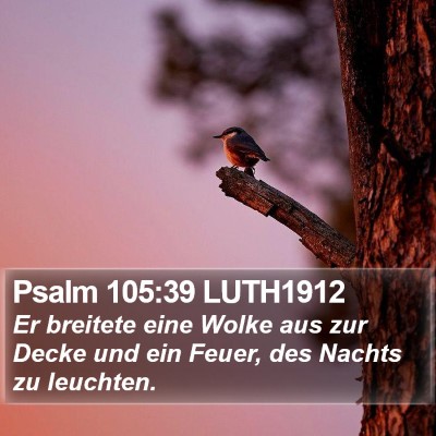 Psalm 105:39 LUTH1912 Bible Verse Image