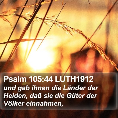 Psalm 105:44 LUTH1912 Bible Verse Image
