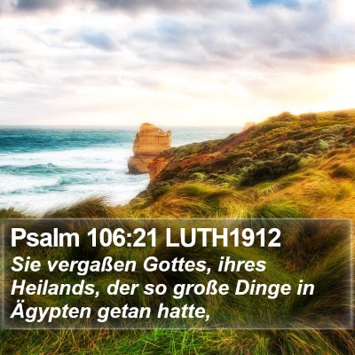 Psalm 106:21 LUTH1912 Bible Verse Image