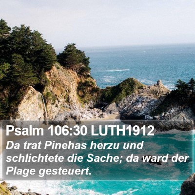 Psalm 106:30 LUTH1912 Bible Verse Image