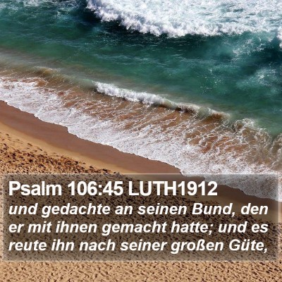 Psalm 106:45 LUTH1912 Bible Verse Image
