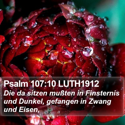 Psalm 107:10 LUTH1912 Bible Verse Image