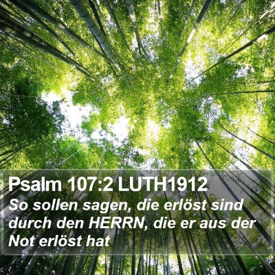 Psalm 107:2 LUTH1912 Bible Verse Image