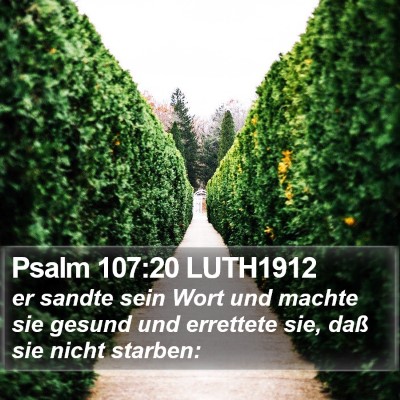 Psalm 107:20 LUTH1912 Bible Verse Image