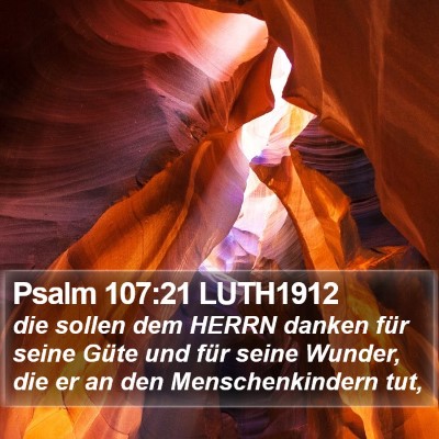 Psalm 107:21 LUTH1912 Bible Verse Image