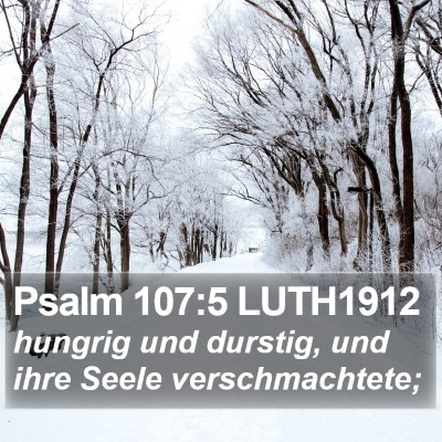 Psalm 107:5 LUTH1912 Bible Verse Image