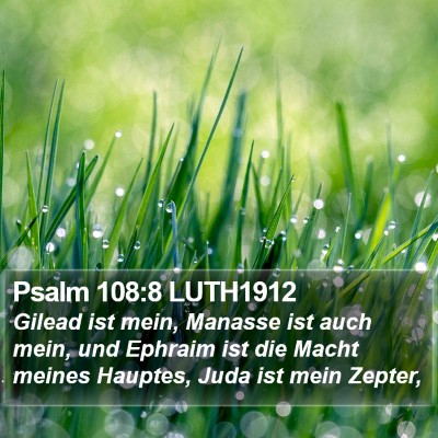 Psalm 108:8 LUTH1912 Bible Verse Image