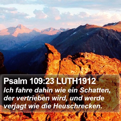 Psalm 109:23 LUTH1912 Bible Verse Image