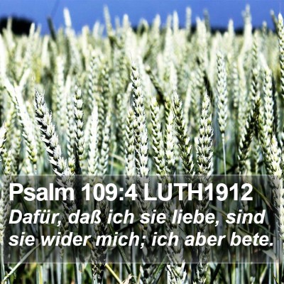 Psalm 109:4 LUTH1912 Bible Verse Image
