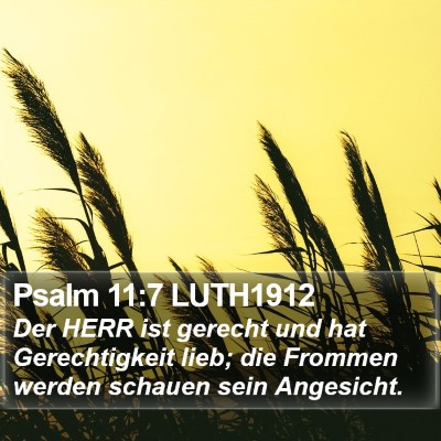 Psalm 11:7 LUTH1912 Bible Verse Image