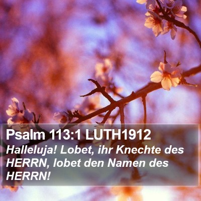 Psalm 113:1 LUTH1912 Bible Verse Image