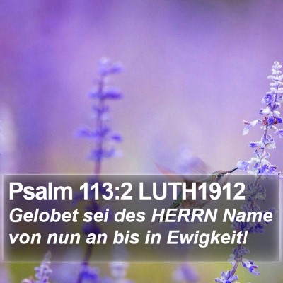 Psalm 113:2 LUTH1912 Bible Verse Image