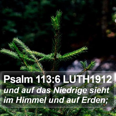 Psalm 113:6 LUTH1912 Bible Verse Image