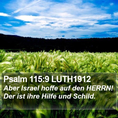 Psalm 115:9 LUTH1912 Bible Verse Image