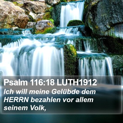 Psalm 116:18 LUTH1912 Bible Verse Image