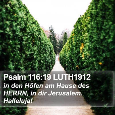 Psalm 116:19 LUTH1912 Bible Verse Image