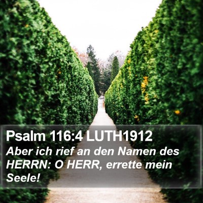 Psalm 116:4 LUTH1912 Bible Verse Image