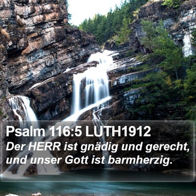 Psalm 116:5 LUTH1912 Bible Verse Image