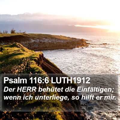Psalm 116:6 LUTH1912 Bible Verse Image