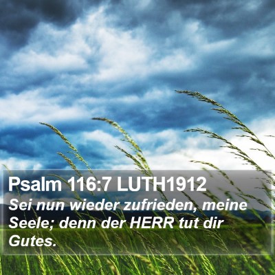 Psalm 116:7 LUTH1912 Bible Verse Image