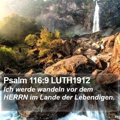 Psalm 116:9 LUTH1912 Bible Verse Image