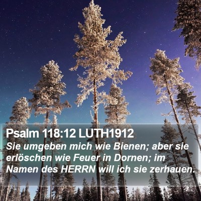 Psalm 118:12 LUTH1912 Bible Verse Image