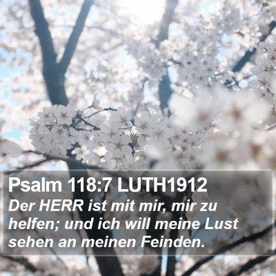 Psalm 118:7 LUTH1912 Bible Verse Image