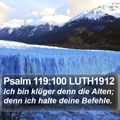 Psalm 119:100 LUTH1912 Bible Verse Image