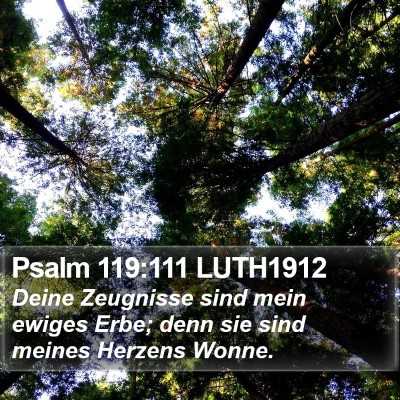 Psalm 119:111 LUTH1912 Bible Verse Image