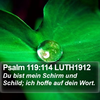 Psalm 119:114 LUTH1912 Bible Verse Image