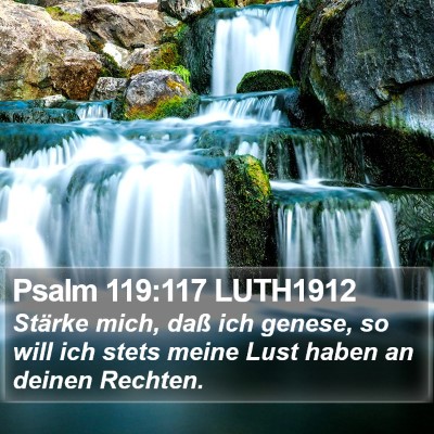 Psalm 119:117 LUTH1912 Bible Verse Image