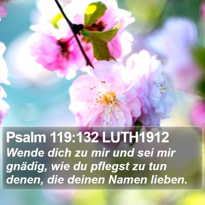 Psalm 119:132 LUTH1912 Bible Verse Image