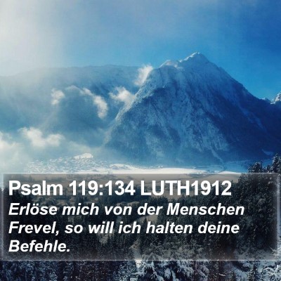 Psalm 119:134 LUTH1912 Bible Verse Image