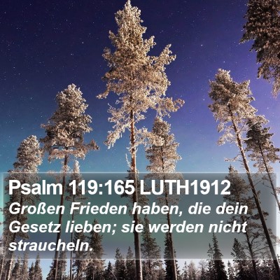 Psalm 119:165 LUTH1912 Bible Verse Image