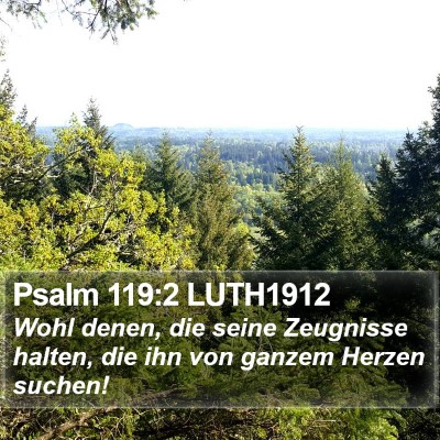 Psalm 119:2 LUTH1912 Bible Verse Image
