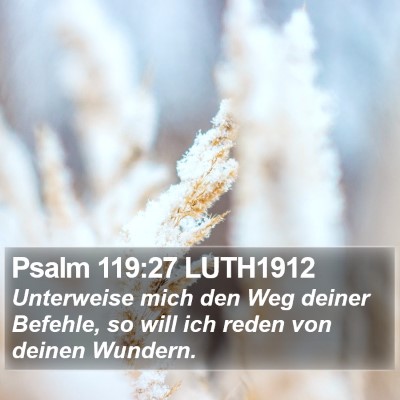 Psalm 119:27 LUTH1912 Bible Verse Image