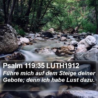 Psalm 119:35 LUTH1912 Bible Verse Image