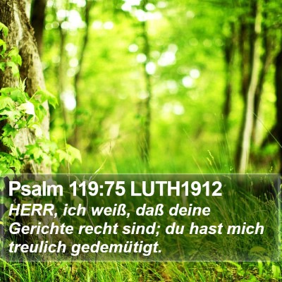 Psalm 119:75 LUTH1912 Bible Verse Image