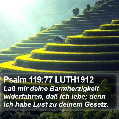 Psalm 119:77 LUTH1912 Bible Verse Image