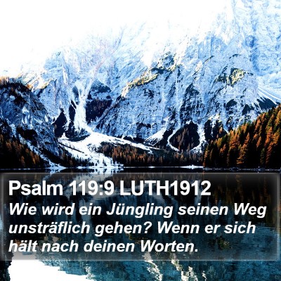 Psalm 119:9 LUTH1912 Bible Verse Image