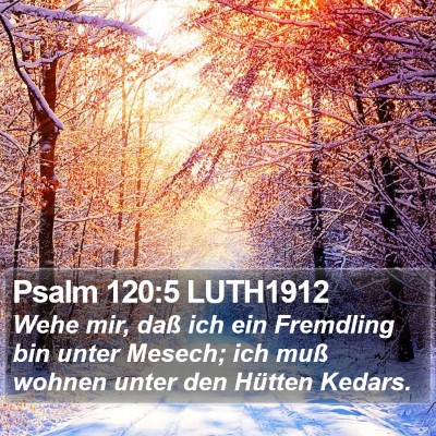 Psalm 120:5 LUTH1912 Bible Verse Image