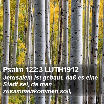Psalm 122:3 LUTH1912 Bible Verse Image