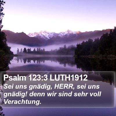 Psalm 123:3 LUTH1912 Bible Verse Image