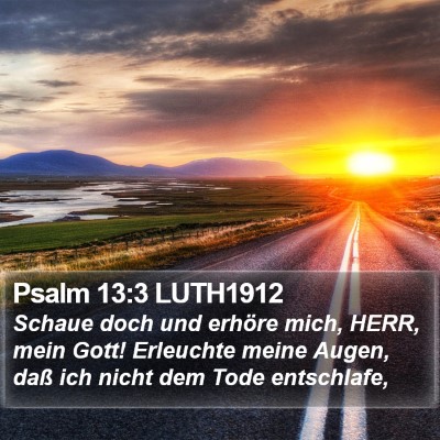 Psalm 13:3 LUTH1912 Bible Verse Image