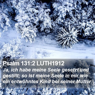 Psalm 131:2 LUTH1912 Bible Verse Image